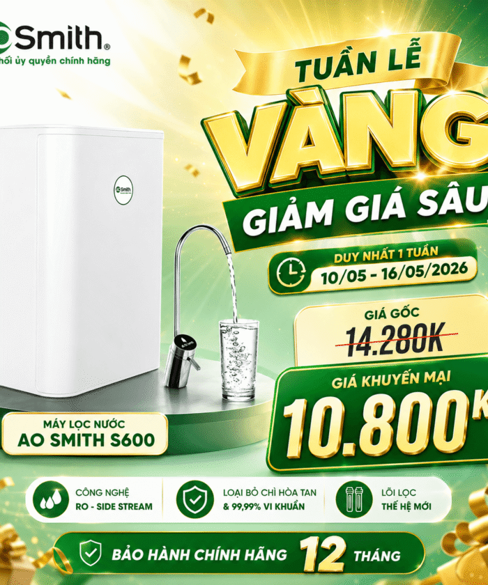 Máy Lọc Nước A. O. Smith S600